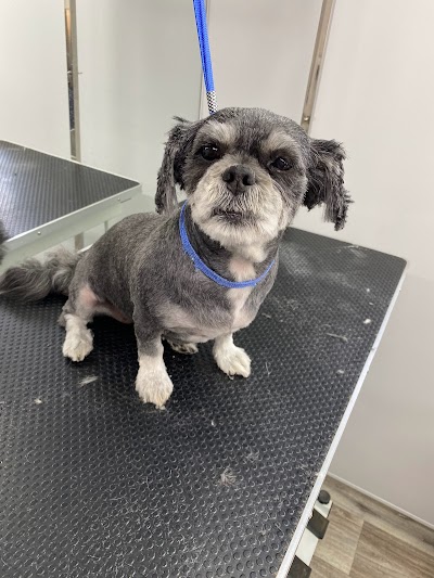 Grooming Van Image