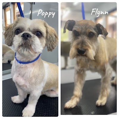 Glamorous Groomers