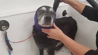 Grooming Van Image
