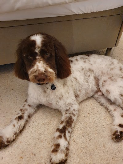 Grooming Van Image