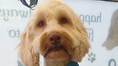 Grooming Van Image