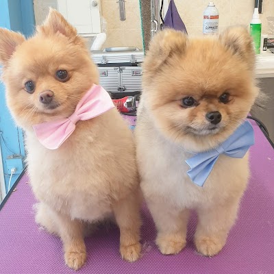 Grooming Van Image
