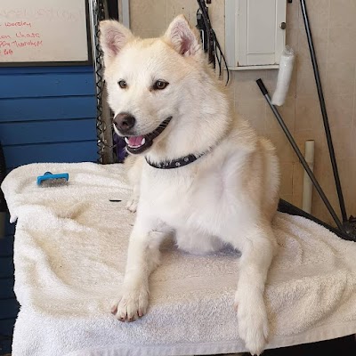 Grooming Van Image