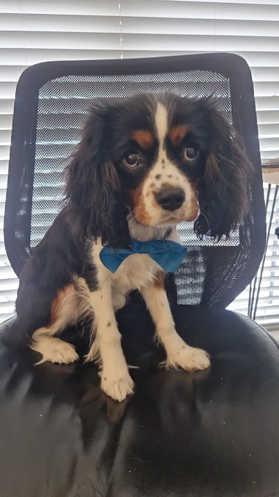 Grooming Van Image