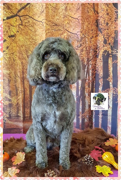 Grooming Van Image