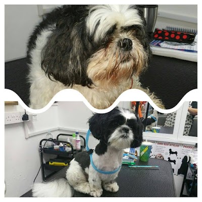 Grooming Van Image