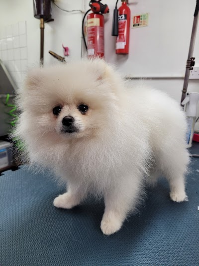 Grooming Van Image