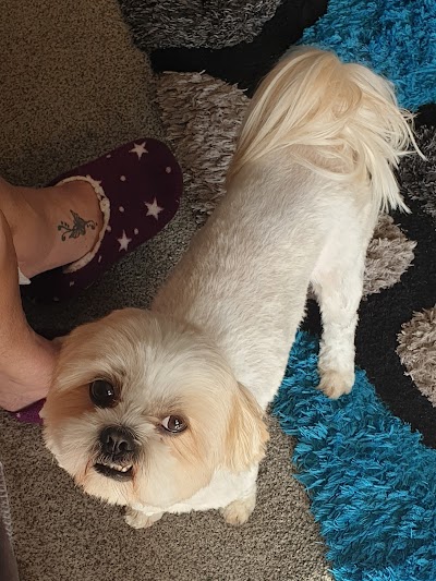 Grooming Van Image