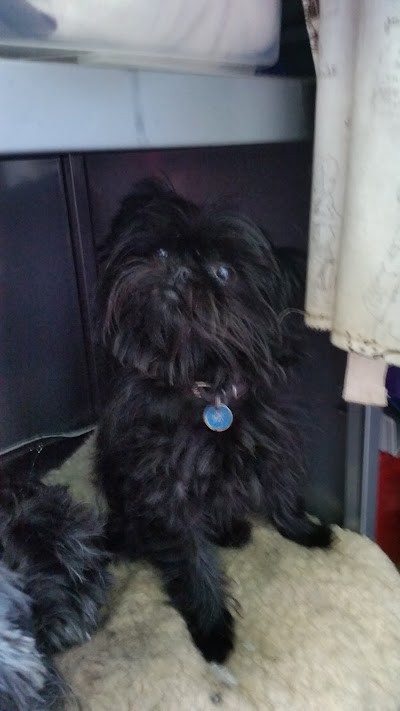Grooming Van Image