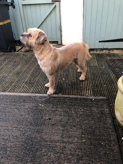 Grooming Van Image