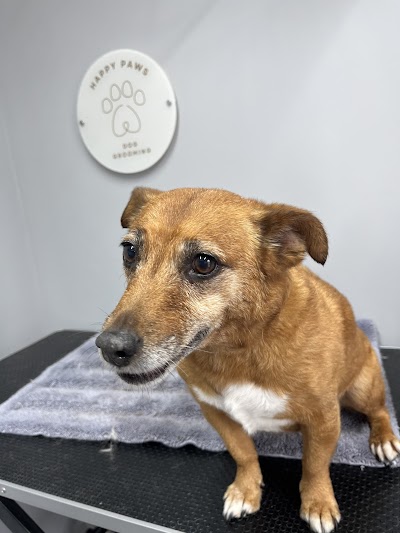 Grooming Van Image