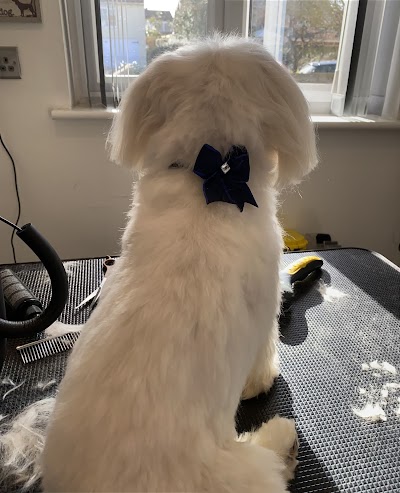 Grooming Van Image