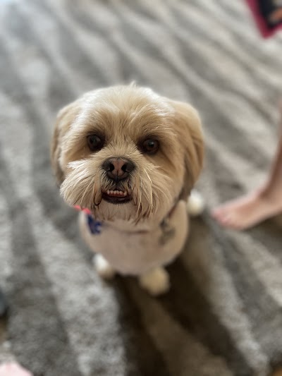 Grooming Van Image