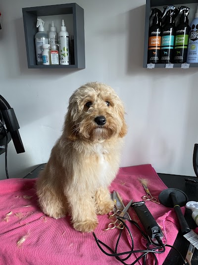 Grooming Van Image