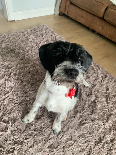 Grooming Van Image