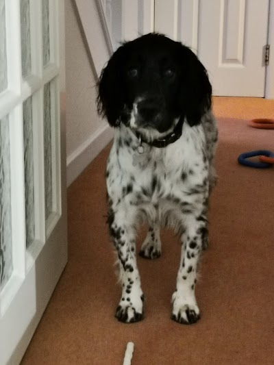 Grooming Van Image