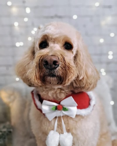 Grooming Van Image