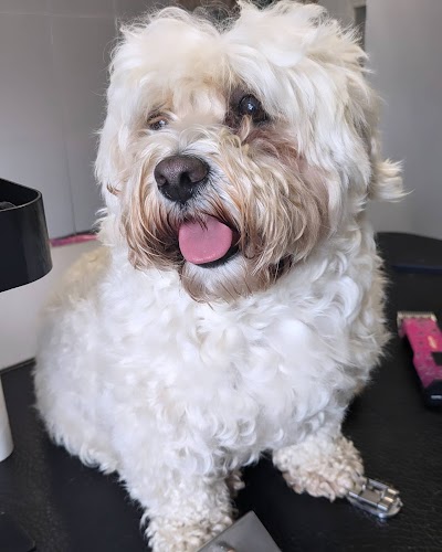 Grooming Van Image