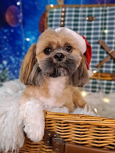 Grooming Van Image