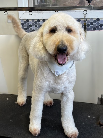 Grooming Van Image