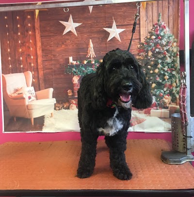 Grooming Van Image