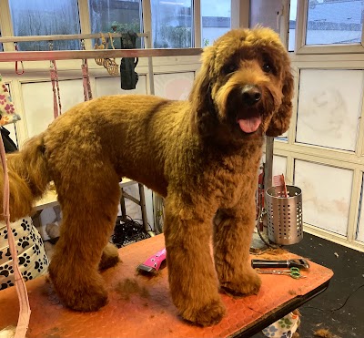 Grooming Van Image