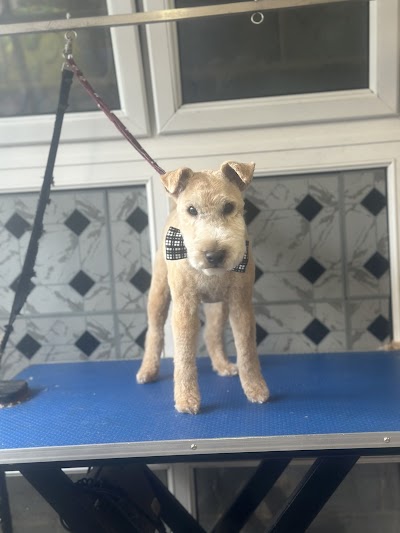 Grooming Van Image