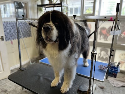 Grooming Van Image