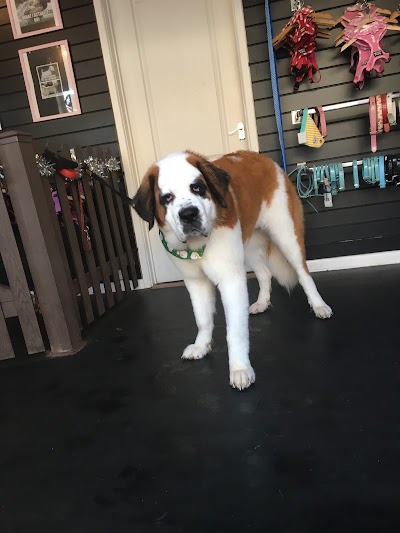 Grooming Van Image