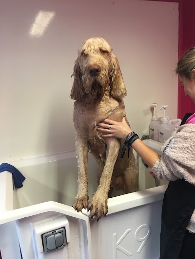 Grooming Van Image