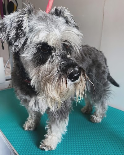 Grooming Van Image