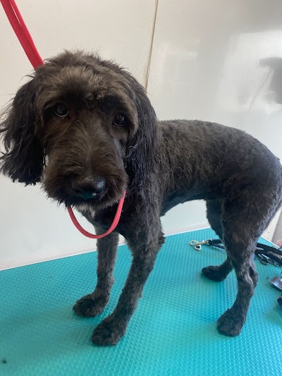 Grooming Van Image