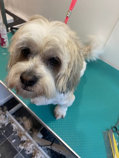 Grooming Van Image
