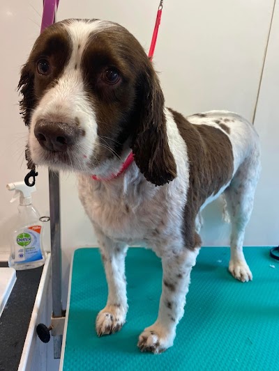 Grooming Van Image