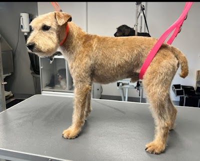 Grooming Van Image