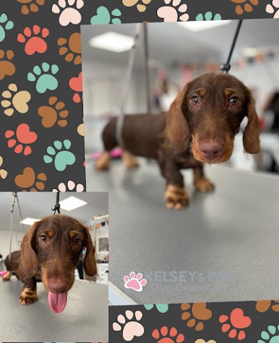 Grooming Van Image