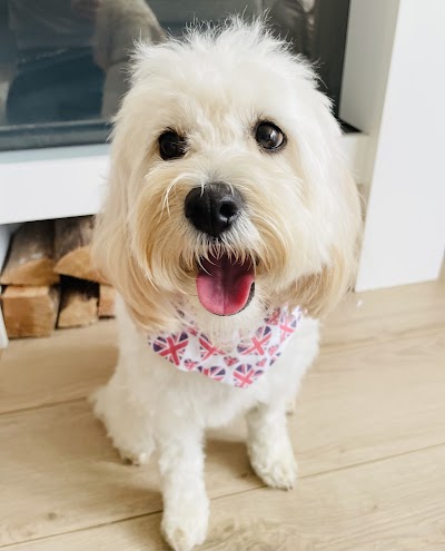 Grooming Van Image