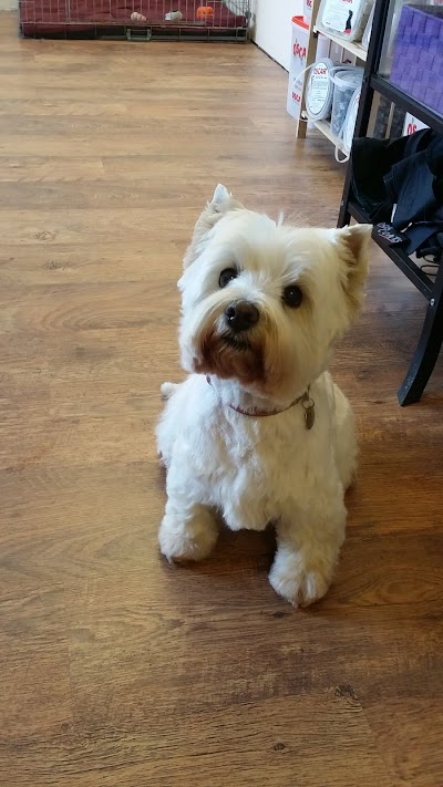 Grooming Van Image