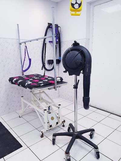 Grooming Van Image
