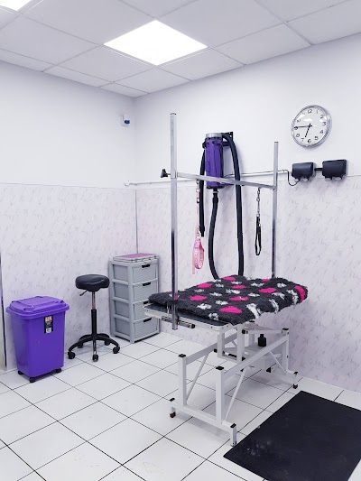 Grooming Van Image