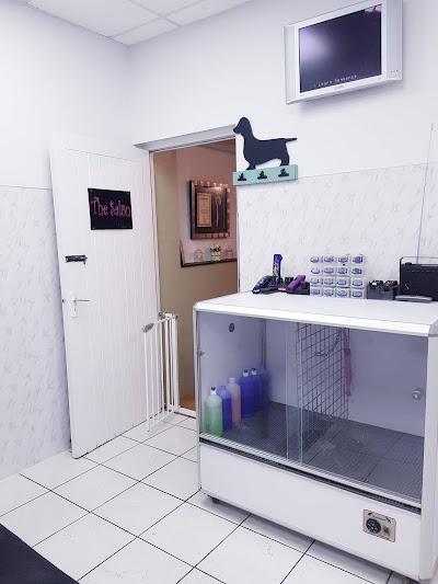 Grooming Van Image