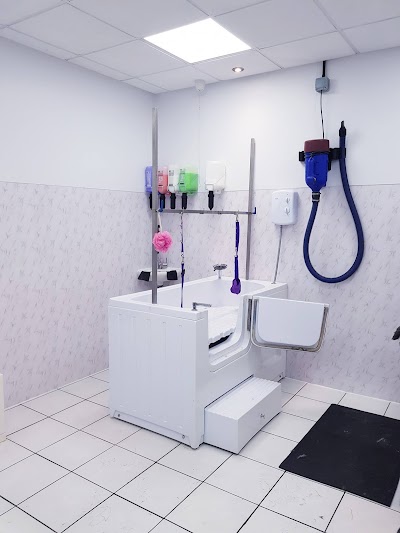 Grooming Van Image