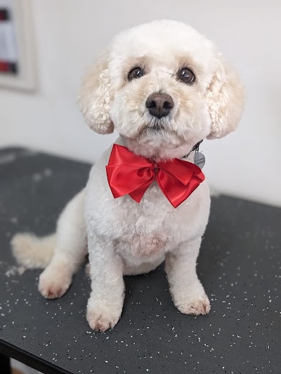 Grooming Van Image