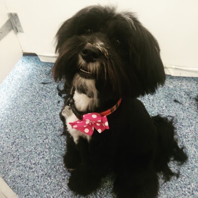Grooming Van Image
