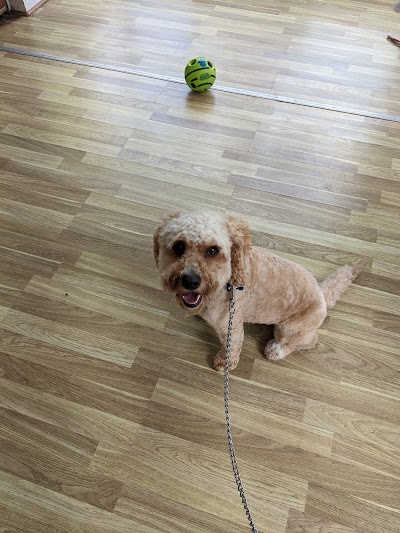 Grooming Van Image