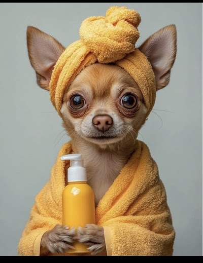 Lyde Green Pet Grooming