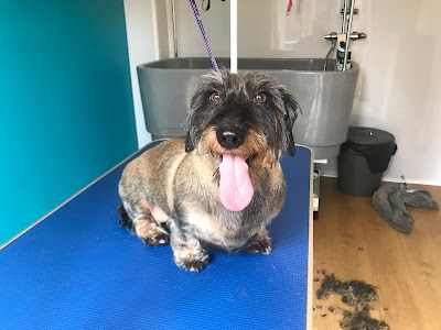 Grooming Van Image