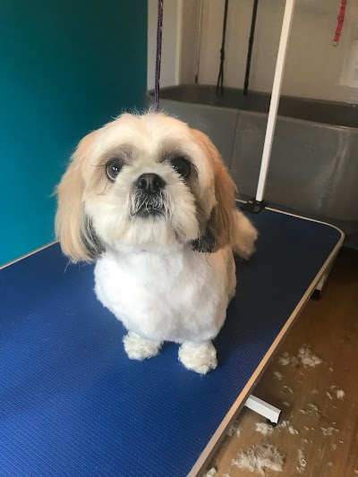 Grooming Van Image