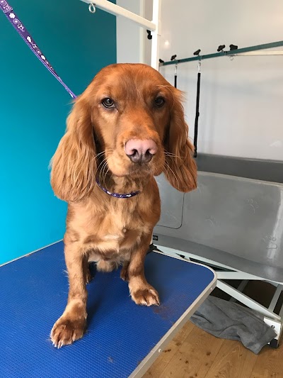 Grooming Van Image