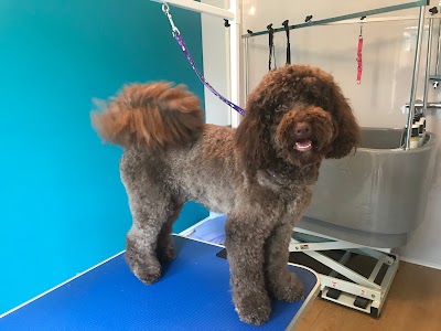 Grooming Van Image